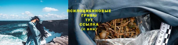 сатива Костерёво