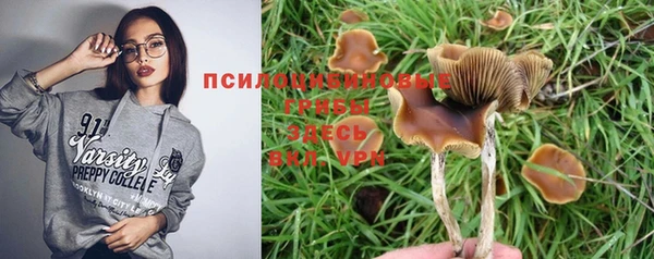 тгк Коряжма