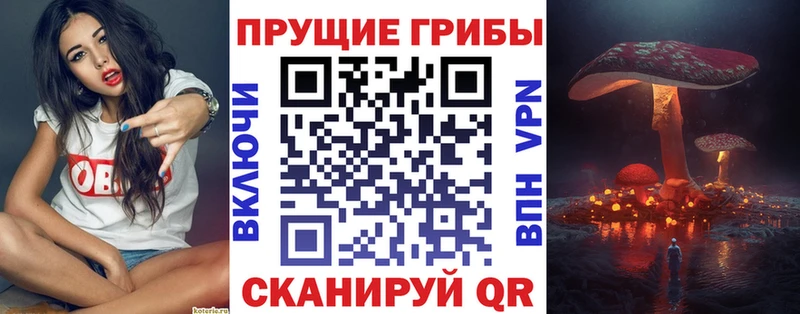 Галлюциногенные грибы прущие грибы Купить Губаха